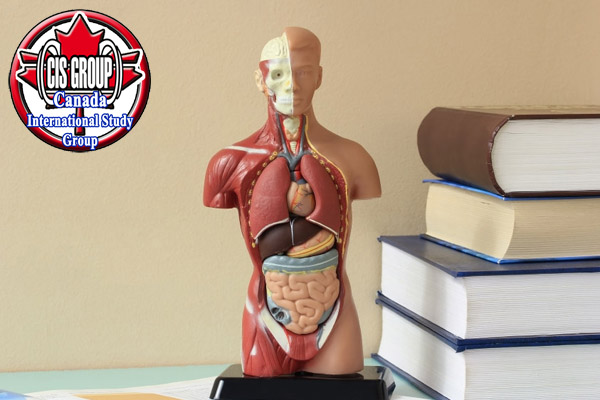 سال یک دانشگاههای مجارستان